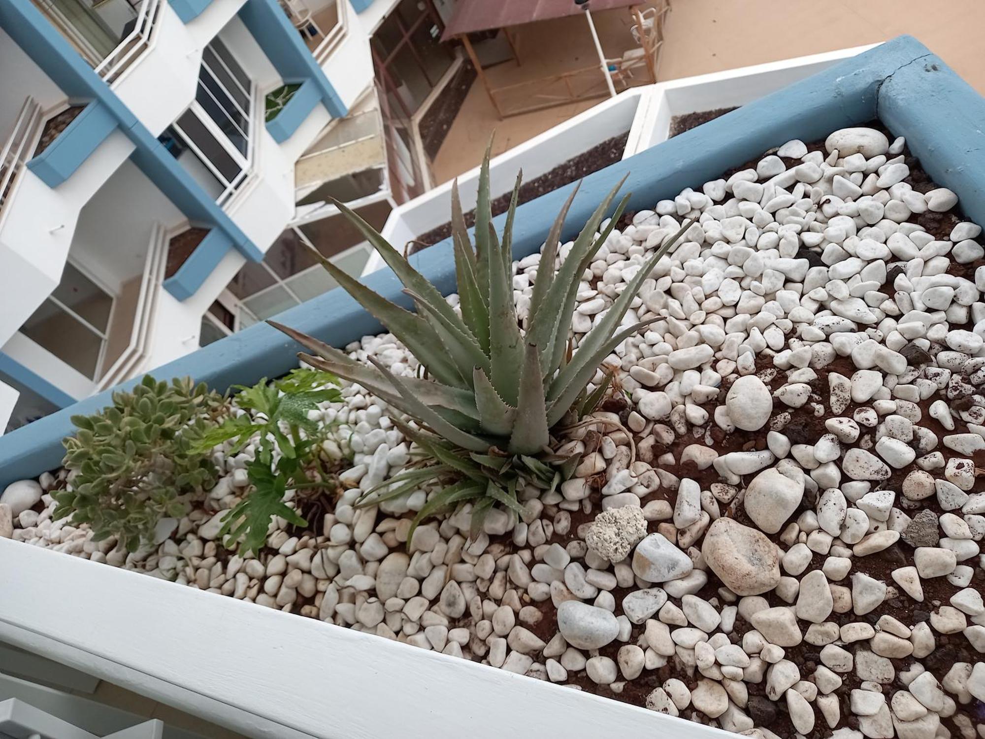Cousy Holiday Apartment In Sunny Golf Del Sur San Miguel de Abona Exterior foto